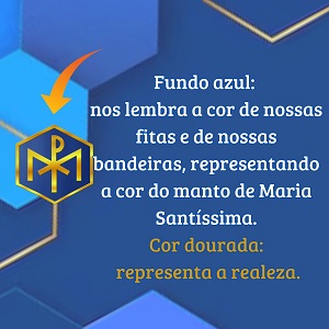 CM6